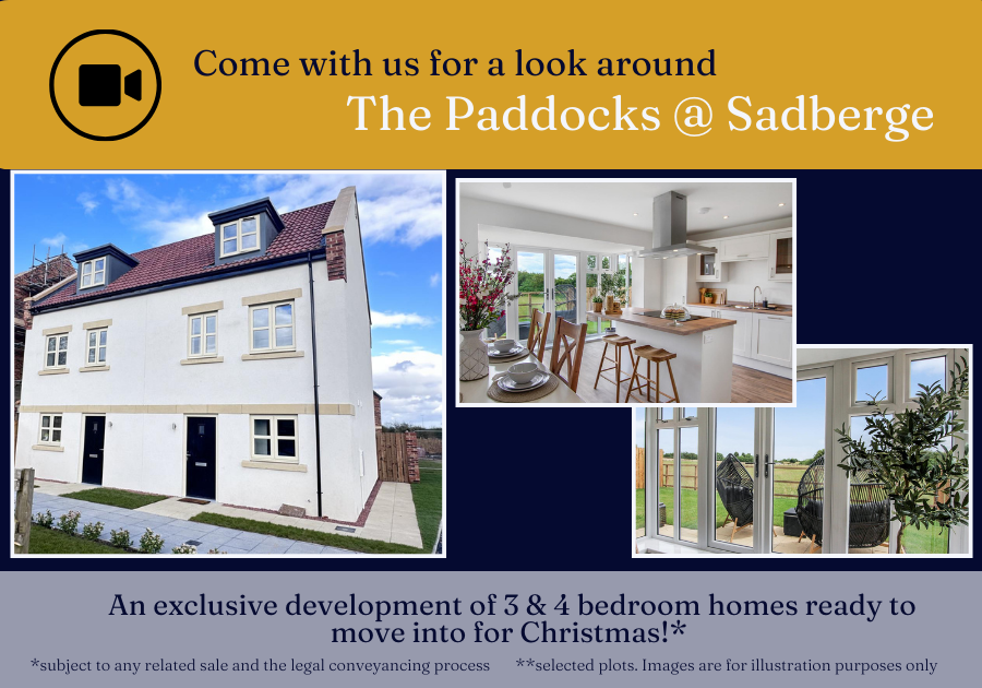 Website The Paddocks video Christmas (1)
